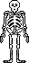 skelet